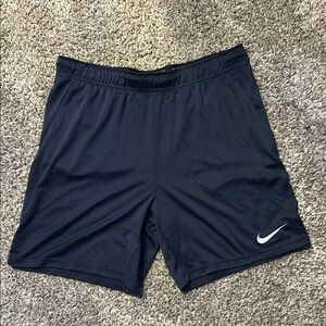 Nike Blue Athletic Performance Shorts